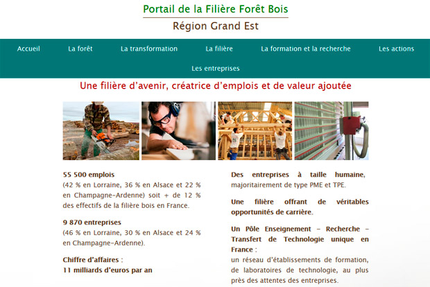 Fibois Grand Est web-confrence construction bois