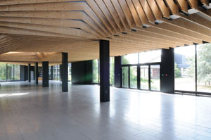 Woodenha; produits;