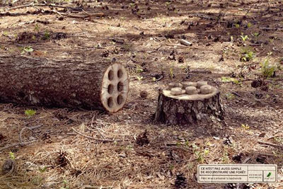 envol,vert,campagne,contre,deforestation