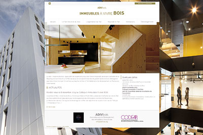 adivbois,colloque,immeubles,bois,grande,hauteur,construction