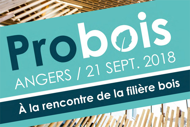 Probois colloque Atlanbois Angers 2018