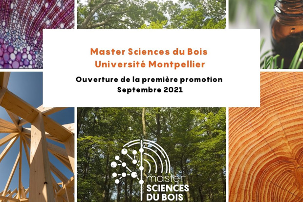 Nouveau Master des Sciences du Bois à l'université de Montpellier