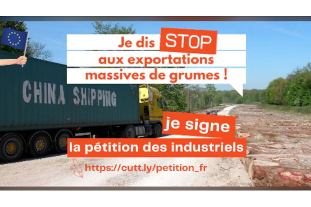 Stop aux exportations massives de grumes