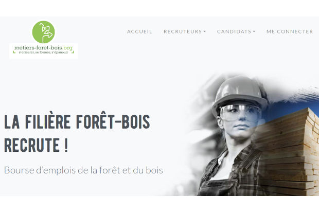 La filire bois recrute grce  Emploi Fort Bois